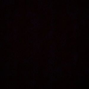 Meet your Posher, Dora